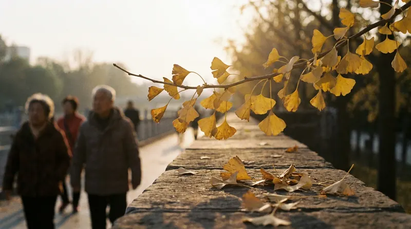 Golden ginkgo leaves on a branch in autumn light